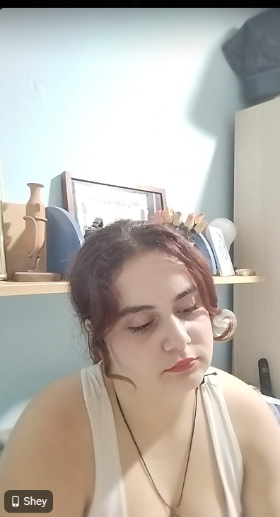 Captura de pantalla 2025-10-25 031727.png